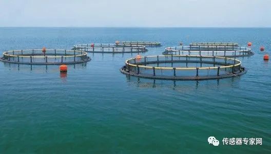 水體環境智能傳感器 水體環境智能傳感器