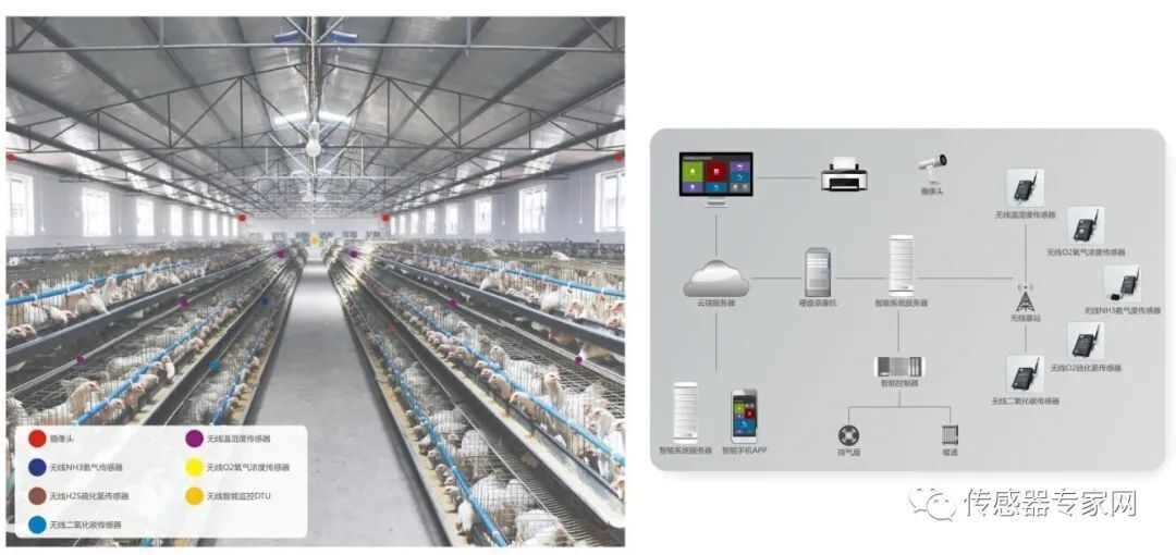 畜禽環境傳感器 畜禽環境傳感器